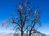 D Whitney Portal Road 003