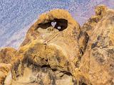 E Heart Arch 001