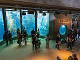 Aquarium 003