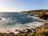 Point Lobos 002