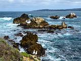 Point Lobos 007