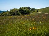 Russian Ridge 001