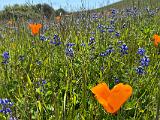 04-E Russian Ridge