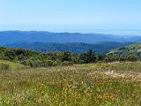 Russian Ridge 003