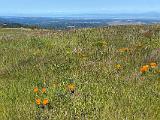 Russian Ridge 004