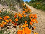 Russian Ridge 007