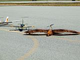 Airshow 017