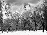 Yosemite 005