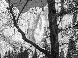 Yosemite 012