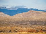 Bosque del Apache 031