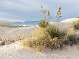 White Sands 001