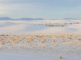 White Sands 004