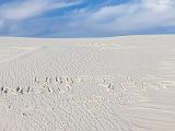 White Sands 010