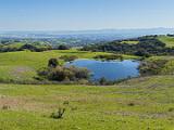 04-A Briones