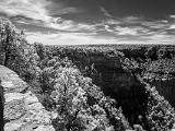 South Rim 019