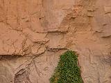Grand Canyon Raft 022