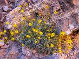 Grand Canyon Raft 035
