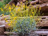 Grand Canyon Raft 049