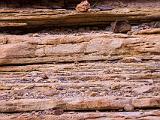 Grand Canyon Raft 050