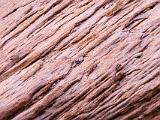 Grand Canyon Raft 051