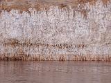 Grand Canyon Raft 062