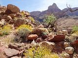 Grand Canyon Raft 066