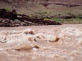 Grand Canyon Raft 069