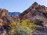 Grand Canyon Raft 074