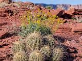 Grand Canyon Raft 075
