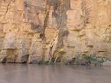 Grand Canyon Raft 166