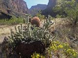 Grand Canyon Raft 176