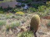 Grand Canyon Raft 177