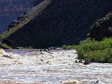 Grand Canyon Raft 179