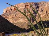 Grand Canyon Raft 194