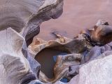 Grand Canyon Raft 199