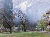 Yosemite Spring 001