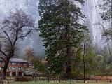 Yosemite Spring 002