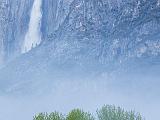Yosemite Spring 003