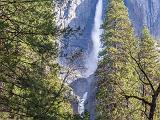 Yosemite Spring 010