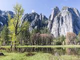 Yosemite Spring 011