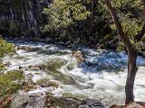 Yosemite Spring 013