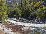 Yosemite Spring 014
