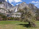 Yosemite Spring 021
