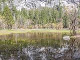 Yosemite Spring 022