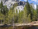Yosemite Spring 029