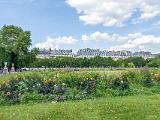 Paris 003