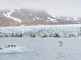 Svalbard 005