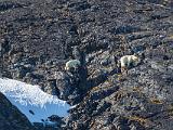 Svalbard 047