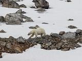 Svalbard 050