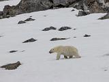 Svalbard 051